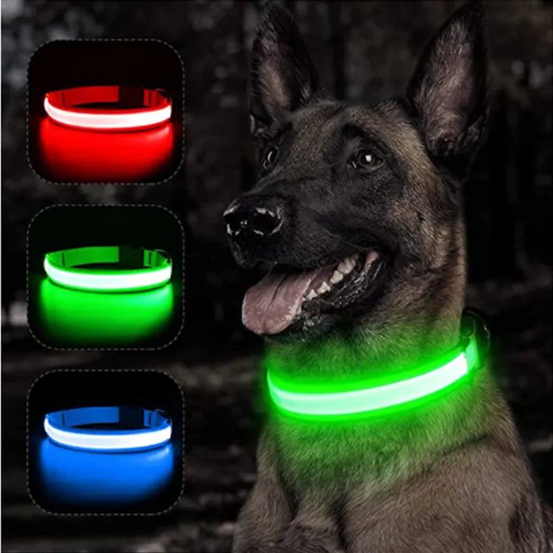 LED Dog Collars