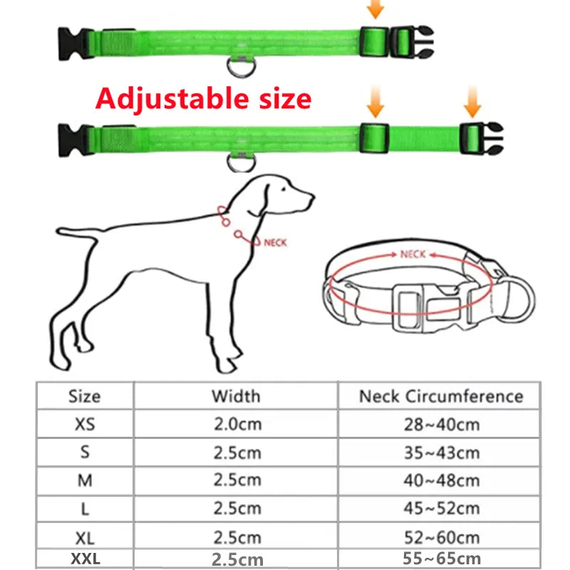 LED Dog Collars